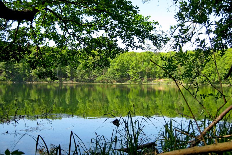 Wielkopolski Park Narodowy